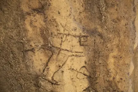 Qobustanda yeni qayaüstü təsvirlər aşkarlanıb