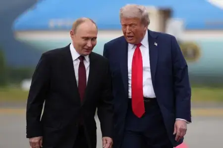 Trampla Putinin görüşdüyü şəhərə ayı hücumu - Xəsarət alanlar var