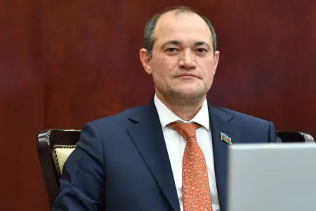 “Qohum-əqrəbamın 90 faizi işsizdir.” - Millət vəkili