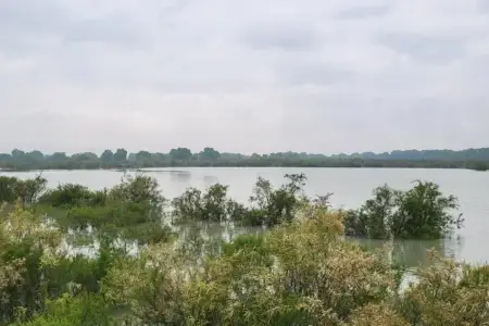 İmişlinin 2 kəndində əkin sahələri su altında qaldı