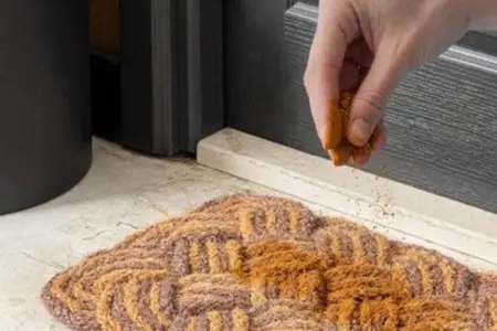 Qapının ağzına bir ovuc darçın səpin, o roblemdən sonsuzadək qurtulun