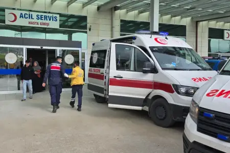 Türkiyədə məktəb avtobusu qəzaya uğradı: 13 nəfər xəsarət aldı