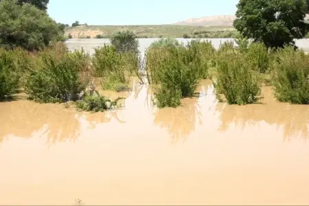 Kürdə vəziyyət necədir? - Açıqlama