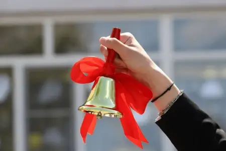 Azərbaycanda "Son zəng" tədbirləri üçün TƏLƏBLƏR qoyuldu