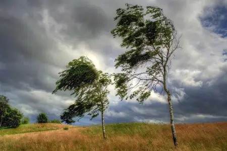 Güclü külək əsir - FAKTİKİ HAVA