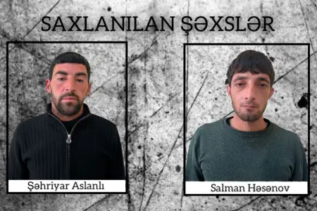 Bu şəxslər Şirvanda çətənə kolları yetişdirirmişlər - Əməliyyat görüntüləri