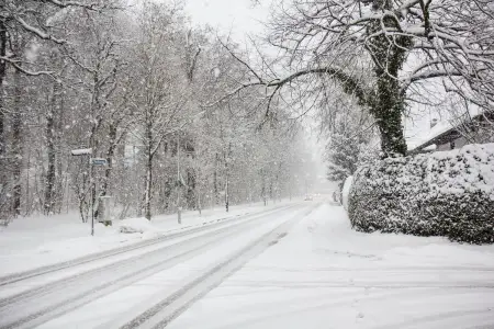 Bu rayonlara qar yağıb - FAKTİKİ HAVA