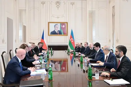 Prezidentin Çexiyanın Baş naziri ilə geniş tərkibdə görüşü keçirildi