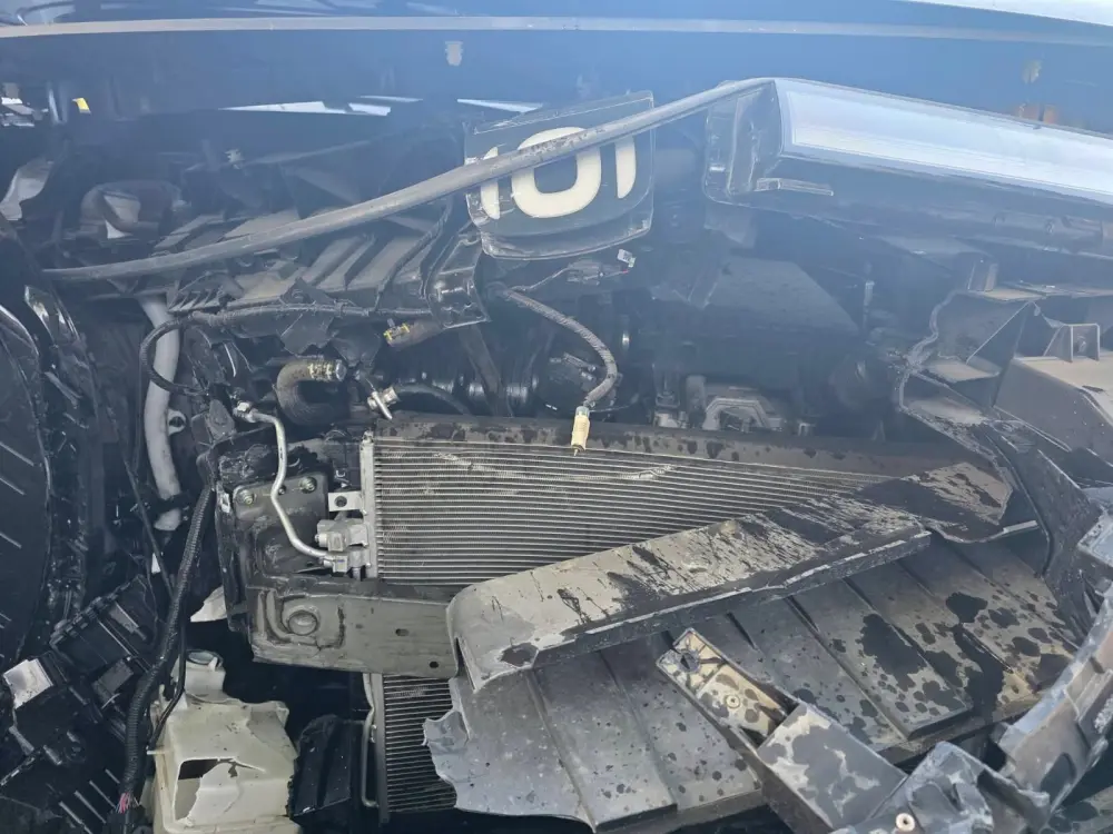 Xəyal Rza ailəsi ilə birgə qəzaya düşdü - FOTO 