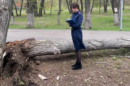 Rusiyada qasırğa nəticəsində ölən və yaralananlar var