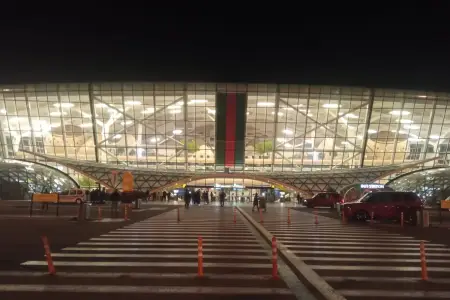 Güləş üzrə Avropa çempionu olan milli komandamız Bakıya qayıtdı