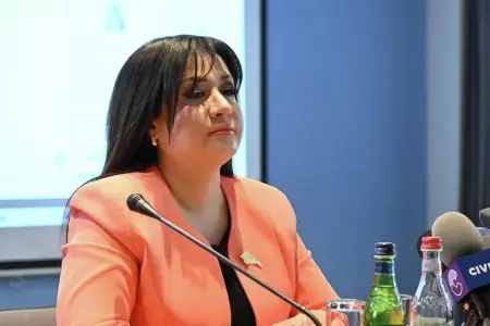 Ermənistan bu kəndi Gürcüstana təhvil verir? - Açıqlama