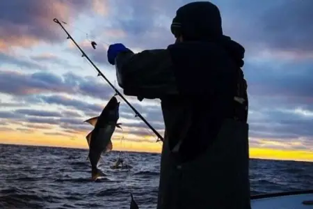 Balıq ovu qadağan edilir – BU TARİXDƏN ETİBARƏN