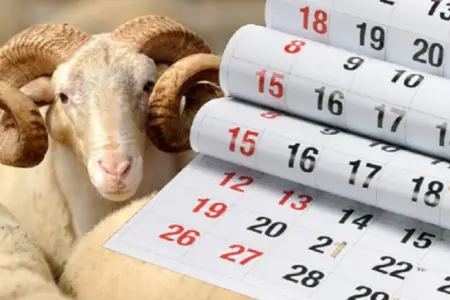 Bayramlarla əlaqədar 5 gün ardıcıl iş olmayacaq