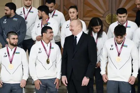 Prezident çempion güləşçiləri qəbul etdi - Fotolar