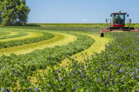 İşğaldan azad edilən ərazilərdə torpaq icarəsi: müraciətə start verildi