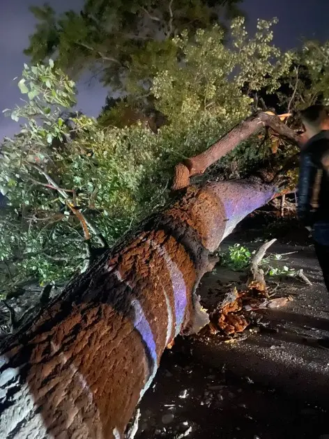 Gəndov-Yalama yolunun bağlanma səbəbi bəlli oldu - FOTO