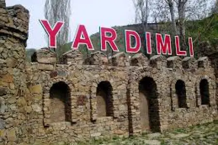 Yardımlıda elektrik cərəyanı iribuynuzlu mal-qaranı tələf etdi