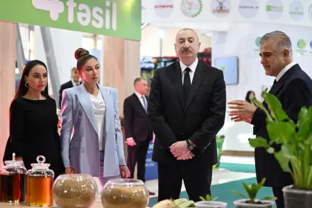 Prezident ailəsi ilə sərgidə