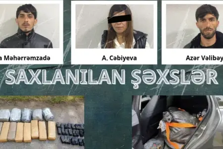 Polis Lerikdə əməliyyat keçirdi 