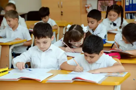 I sinfə şagird qəbulu başladı