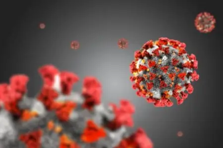Yeni pandemiya gənələrlə yayılacaq? - 30 virus aşkarlandı