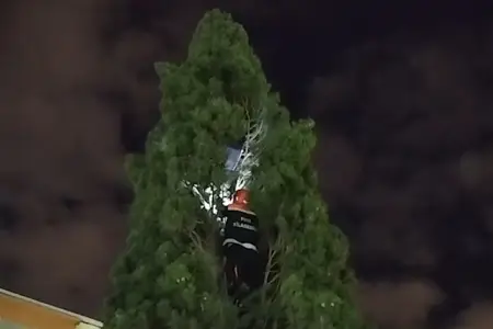Topu götürmək üçün 10 metrlik ağaca çıxdı, düşə bilmədi - Video