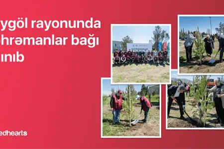 Göygöldə “Qəhrəmanlar bağı” aksiyası həyata keçirilib