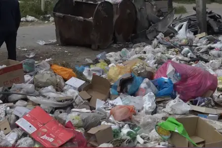 Zibillikdə otarılan mal-qara və evlərə dolan dözülməz qoxu: Masazırda antisanitariya - VİDEO