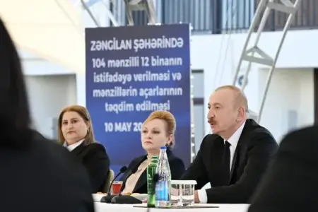 "Ermənistan ordusunun beli qırılmışdı" - Prezident