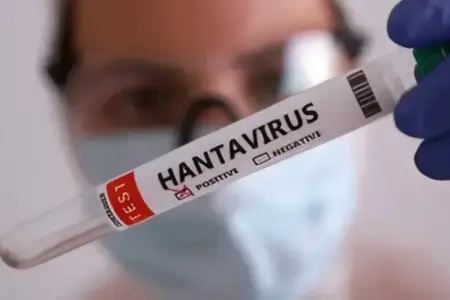 Hantavirus epidemiyası riski nə qədərdir? - ÜST-dən açıqlama