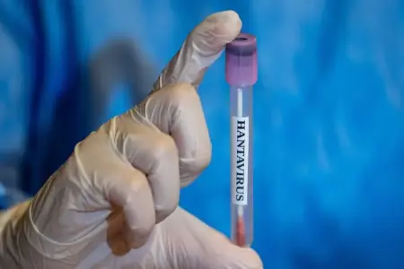 Kruiz gəmisindən təxliyə edilən sərnişində hantavirus aşkarlandı