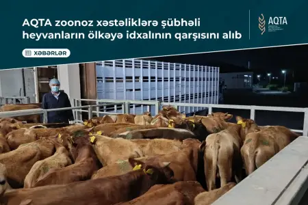 Zoonoz xəstəlik şübhəsi olan heyvanların Azərbaycana idxalının qarşısı alındı