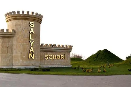 Salyanda dörd ay əvvəl itkin düşmüş kişinin meyiti tapıldı