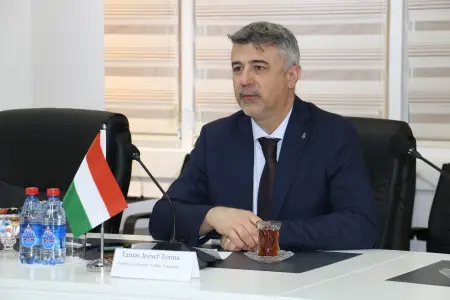 Macarıstan səfiri: Hazırda dünyada milyardlarla insanın mənzil təminatı əlçatmazdır