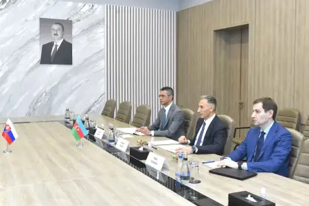 Nazir Rəşad Nəbiyev Samuel Miqal ilə görüşdü