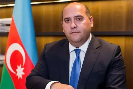 Ağdam, Xocavənd və Füzulinin neçə faizinin minalardan təmizləndiyi məlum olub