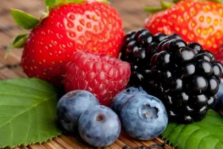 Ürək üçün ən faydalı yay giləmeyvəsi hansıdır?