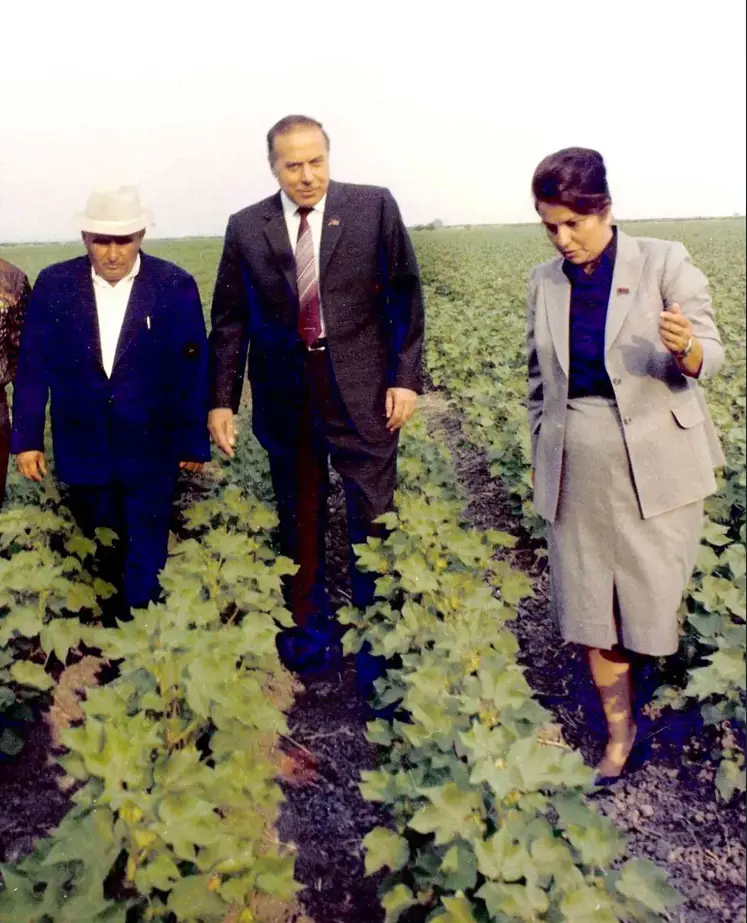 İki rayona rəhbərlik etmiş Almaz Hacıyeva vəfat etdi