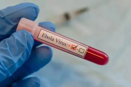 Ebola virusuna yoluxma artmaqda davam edir