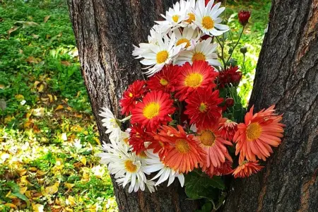 İyunda hava necə olacaq?