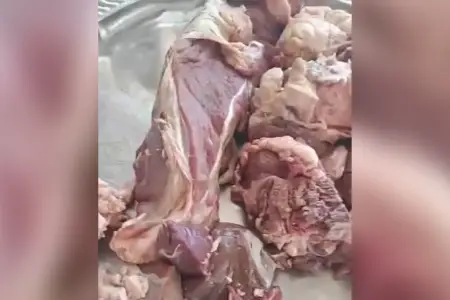 İcra Hakimiyyətinin göndərdiyi qurban əti köhnə olub? - Açıqlama
