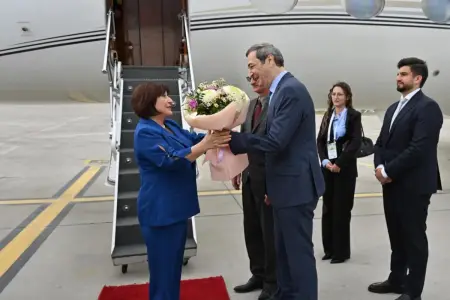 Milli Məclisin sədri Serbiyaya işgüzar səfər etdi