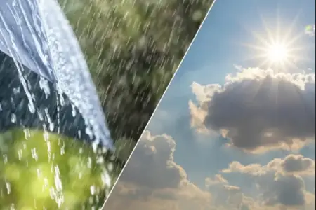 Yağışlı may, yoxsa gecikən yay?- Ekoloqdan açıqlama