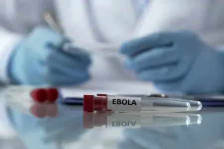 Ebola virusuna yoluxma artır - Peyvənd hazırlanır