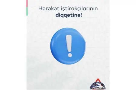 DYP küləkli hava ilə bağlı müraciət etdi