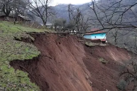 Göygöldə torpaq sürüşməsi: ağac yola aşdı, hərəkət çətinləşdi