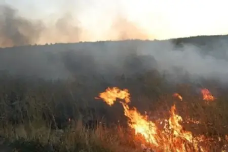 Sabunçuda yanğın başladı