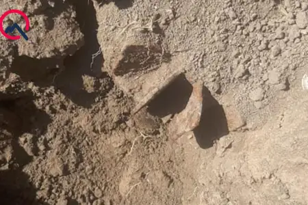 Ağdamda məzar qazarkən minaatan mərmisi aşkarladılar