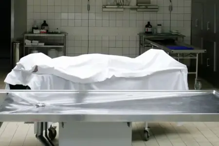 Şəki sakini Bakıda keçmiş həyat yoldaşı və qayınanasını qətlə yetirdi